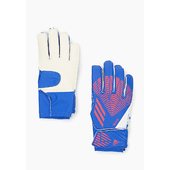 Перчатки вратарские Adidas PRED GL TRN J синие