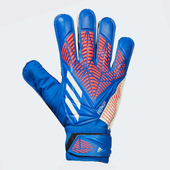 Перчатки вратарские adidas Predator Training синие H43741