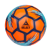 Мяч футбольный Select Classic 815320 (5)
